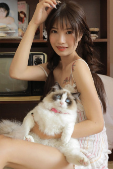 大路朝天电视剧剧情介绍
